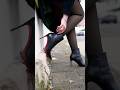Do you like my Louboutin boots?