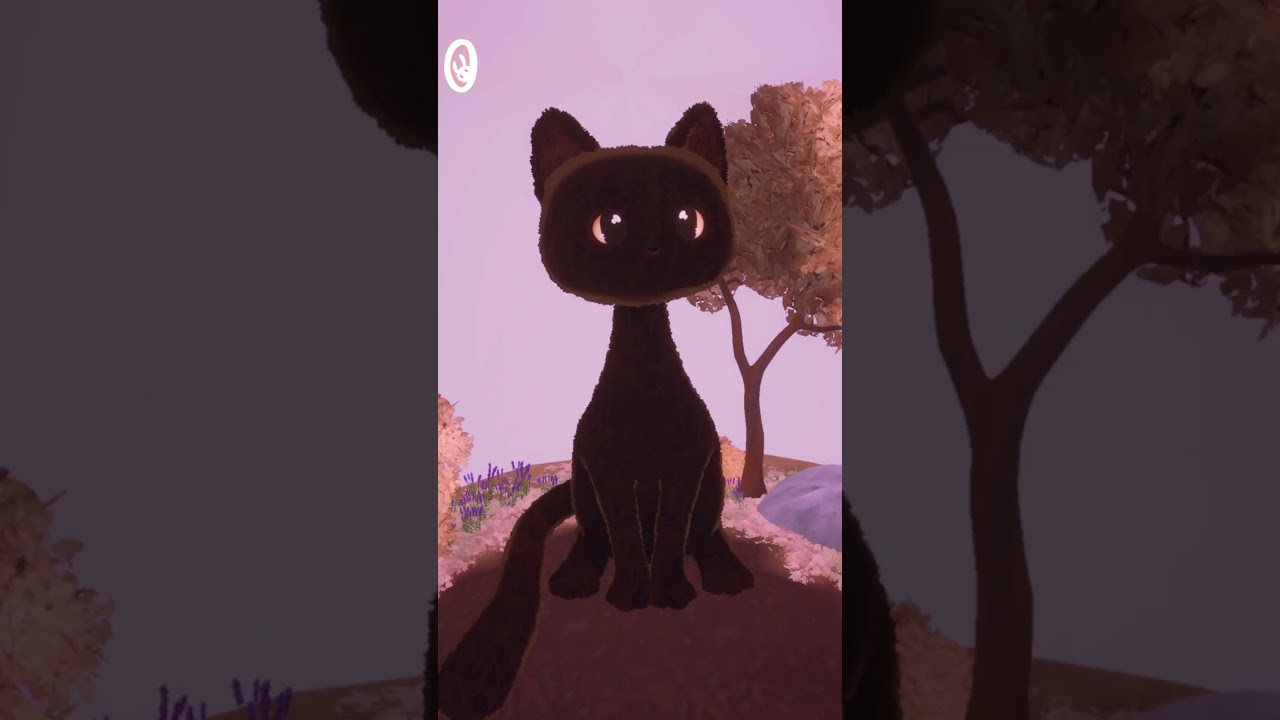 Cat Lovers Unite! We have the cutest big cat [Nomori] #catlovers #bigcat