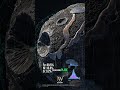 The Rock(Asteroid) that can make everyone on earth rich