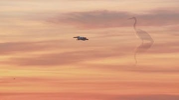 Chảy Đi Sông Ơi _ Ngọc Tân