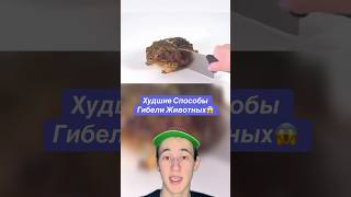 Худшие Способы Гибели Животных!😱 #собака #shorts #животные #факты
