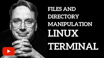 Files and Directory Manipulation | Linux Terminal