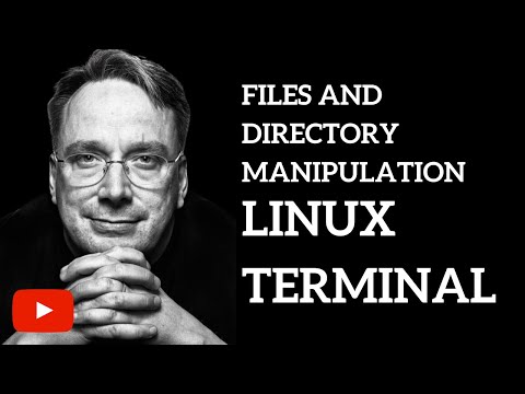 Files and Directory Manipulation | Linux Terminal