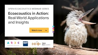 Ecoacoustics in Action: Real-World Applications and Insights - Open Ecoacoustics Webinar Series - 1