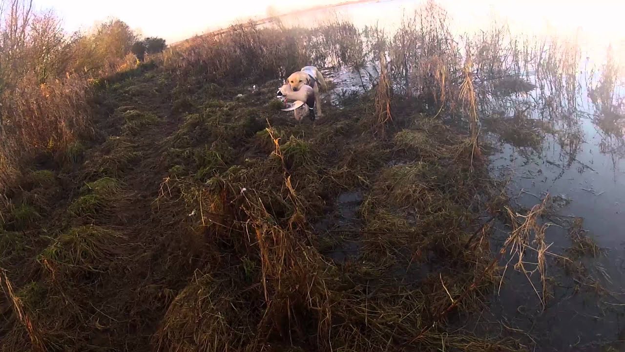 ouse wash flight