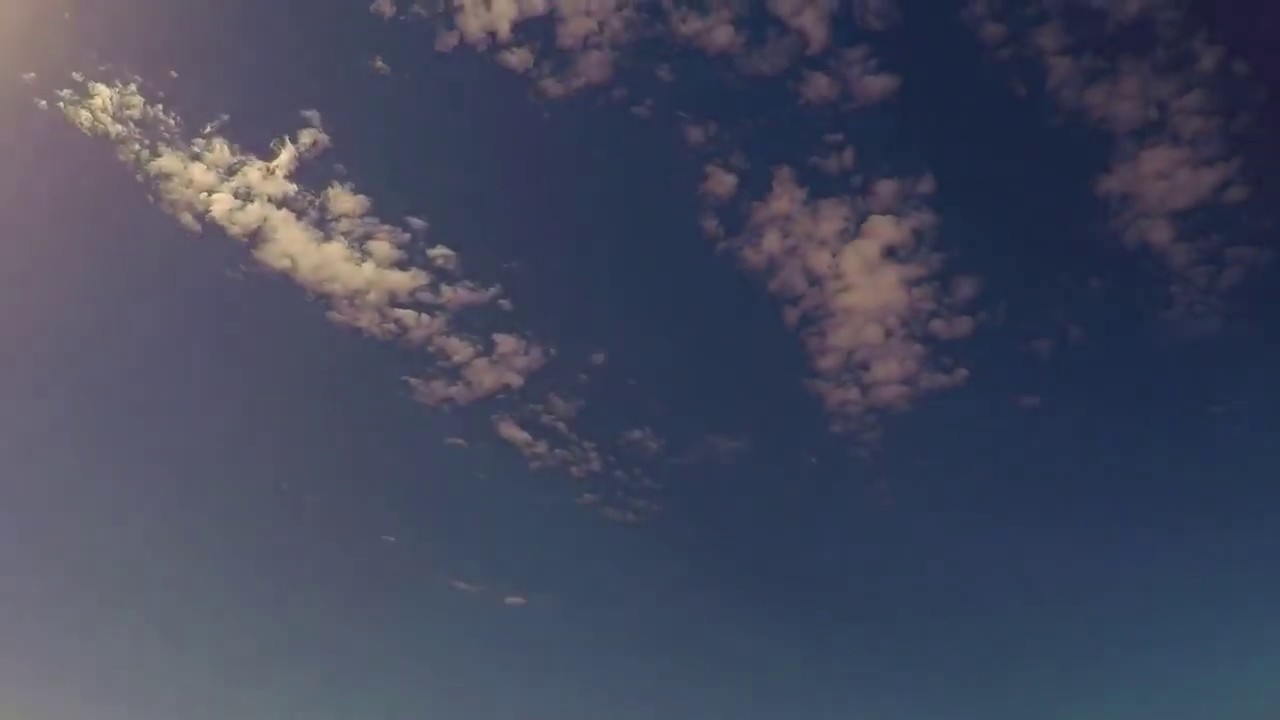 Hiusa - Tribu Taguro