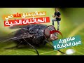 عجائب خلق الله في الكائنات الحية 
