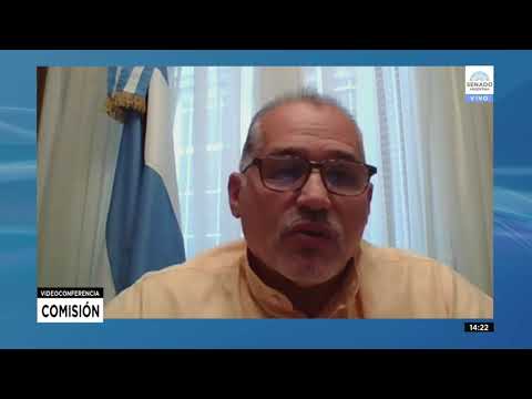 SENADOR ANTONIO RODAS - COMISION DE ASUNTOS ADMINISTRATIVOS Y MUNICIPALES 25-11-21