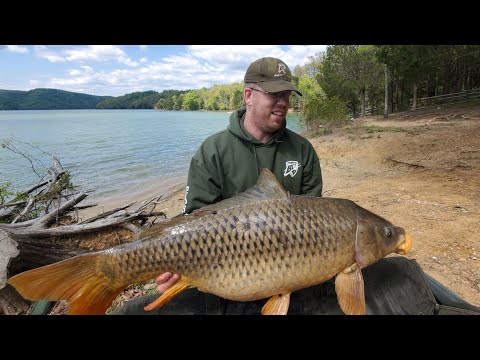 Video: Ameerika Karp -diivan: Sedaflexi Teisendusmehhanism, Sõjavägi