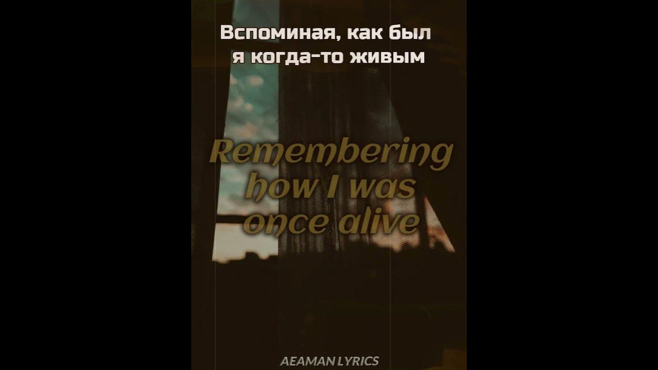 Нечего было ждать. Нечего ждать sizor текст. сизор нечего ждать. sizor чушь. sizor нечего ждать remastered.