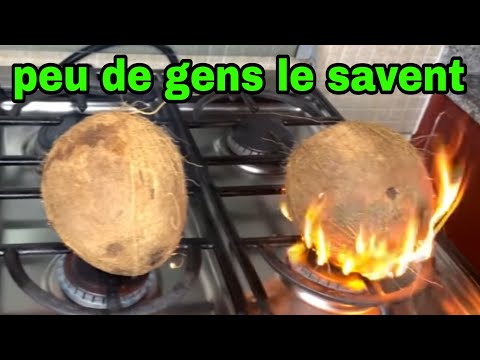 Vidéo: Qu'est-ce que la noix de coco puna ?