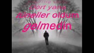 Cansever  Boşuna Yollara Bakıp Bekledim