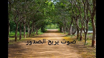 صوت يشرح الصدرعشر ساعات من القران الكريم للشيخ سلمان العتيبي