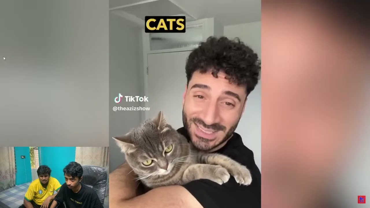 Try not To Laugh Watching Funny Fails Videos #1 | The DESHI Vines