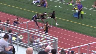 2017 Boys AAA 110 Meter Hurdle Finals (WPIAL)