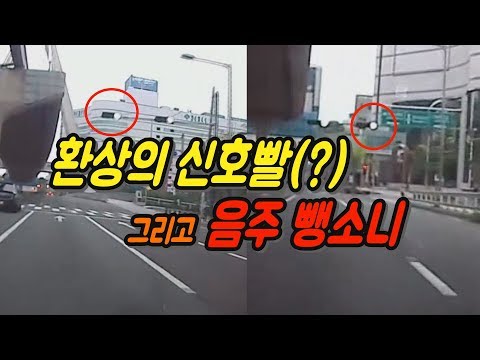 차보험료