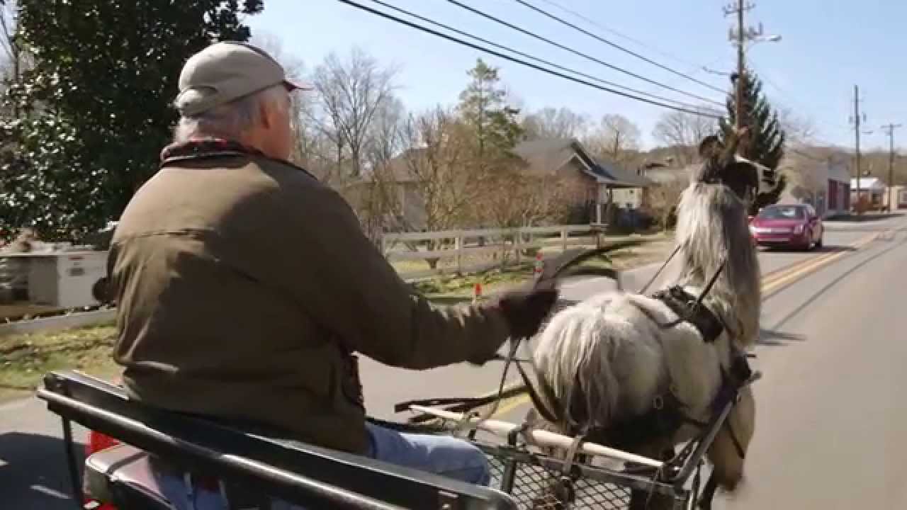 llaman スペイン語 Llama Nation: The Documentary *Official Trailer*