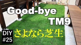 さよなら芝生【DIY#25】3年間育てた芝生を剥がすことにしました　Good-bye TM9