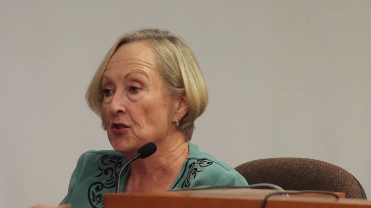 Former police investigator testifies to the version of disappearance mother told