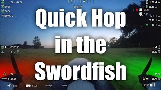 Real quick Swordfish flight