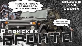 ИЩЕМ ЗАМЕНУ ОБЫЧНОЙ НИВЫ / серия 1 &quot;В ПОИСКАХ НИВЫ БРОНТО&quot; /  КОСЯКИ НОВОЙ НИВЫ 2023 года