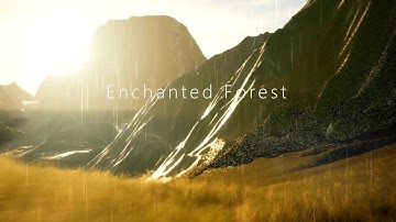 Enchanted Forest Environment | Unreal Engine | Epic Games | Megascans | Quixel | Bridge