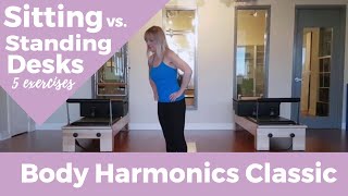 Sitting vs. Standing Desks: 5 Exercises to Keep your Body Happy at Either