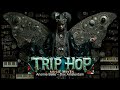 Contemporary Trip Hop Music Mix 2025 - Triphop