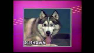 Wnuv Ids 1988