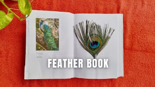 Feather Book | flip through | How to identify feathers