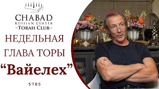 Глава Торы Ваелех: мудрость Моше перед смертью / Chabad Russian Center Torah Club