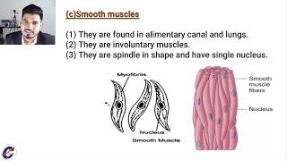 Class9th Science chapter 6 Tissues Exercise solutions | NCERT &CBSE |