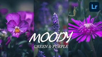 How to EDIT MOODY GREEN & PURPLE TONE MACRO Photo on Lightroom Mobile