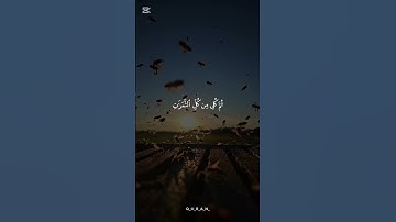 ✨ "تلاوة عطرة من سورة النحل بصوت خاشع يلامس القلب، آيات تذكر بنعم الله العظيمة علينا وتدعونا لشكره.