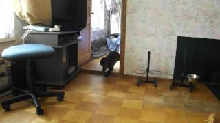 DSCF0362.AVI