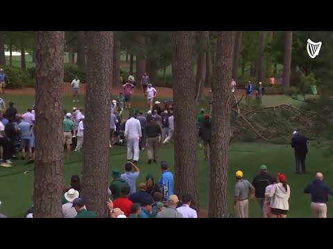 Terrifying moment when tree fall nearly crushes crowd at Masters Tournament in Augusta, Georgia