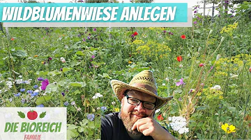 Wann sät man eine Wildblumenwiese aus?