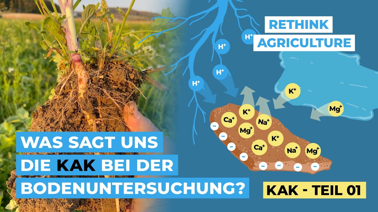 Was sagt uns die KAK bei der Bodenuntersuchung? (KAK - Teil 1)
