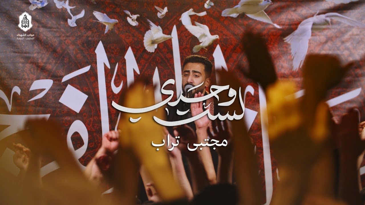 قصيدة لست وحدي || الرادود مجتبى تراب