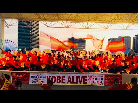🎉大賞演舞👏神戸学生よさこいチーム湊 ⚓️『朱巽』神戸ALIVE2017
