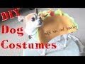 DIY Halloween Dog Costumes! ♥  Nic and Pancho Collaboration