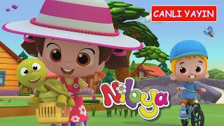 Niloya TV -  CANLI YAYIN 📡🤩📺️🥰 / ✨️Tüm Bölümler ✨️