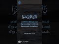 Surah 33 Al Ahzab Verse 56 Sheikh Yasser Al Dossari Holy Quran Beautiful Recite Oh My Almighty Surah 33 Al Ahzab Verse 56 Sheikh Yasser Al Dossari Holy Quran Beautiful Recite Oh My Almighty