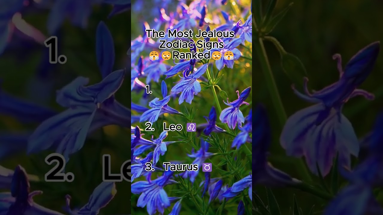 The Most Jealous Zodiac Signs Ranked. 