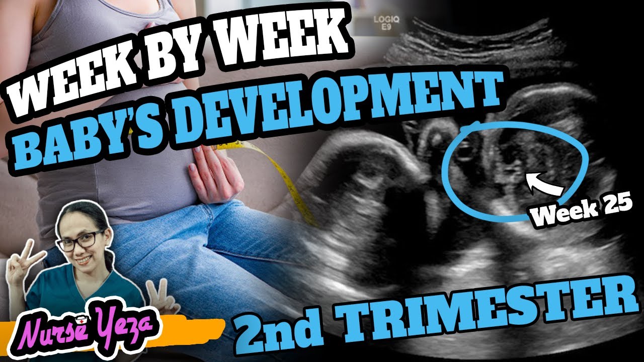 WEEK BY WEEK NA NANGYAYARI SA LOOB (2ND TRIMESTER)