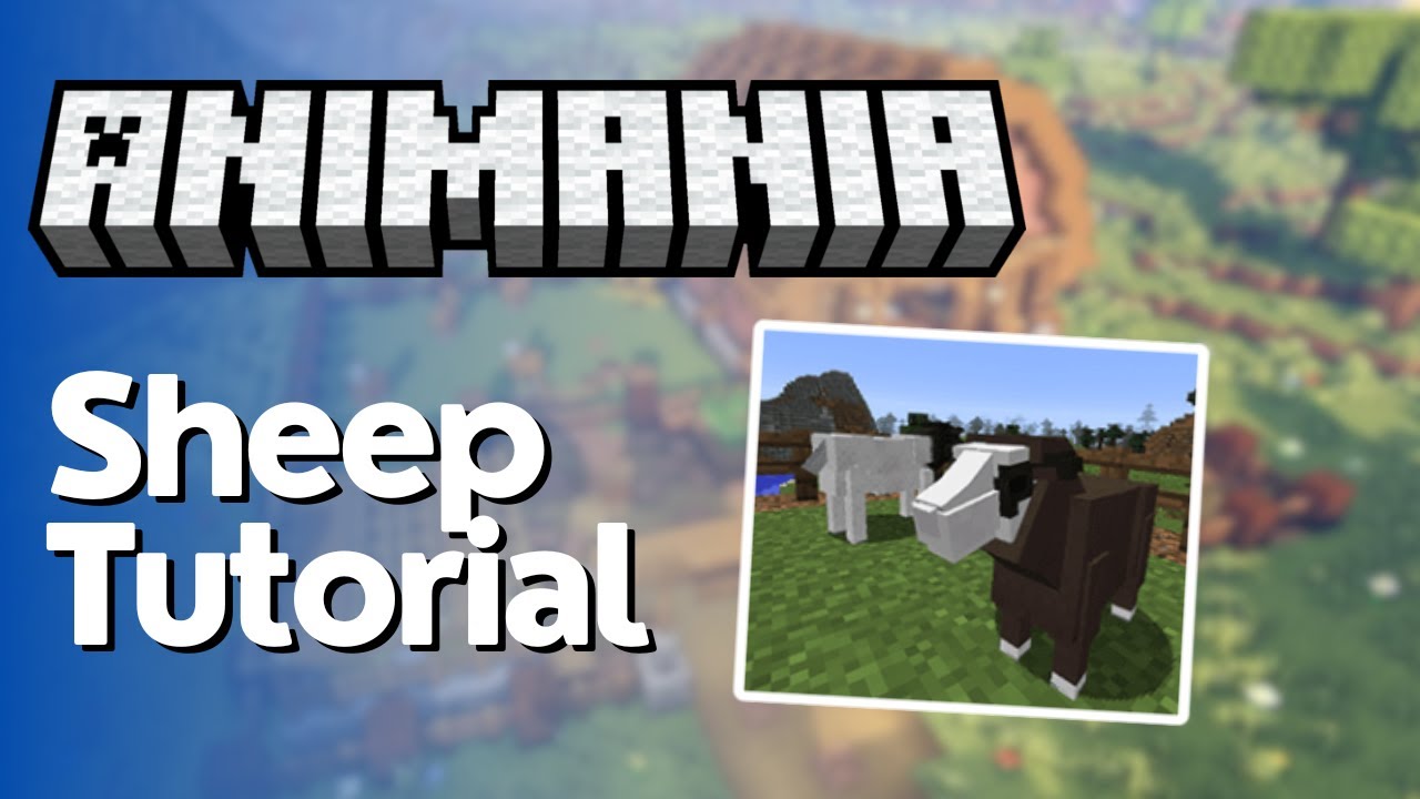 Animania Sheep Full Tutorial