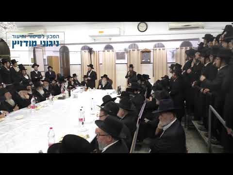 עו"ד דוד זעירא | מודז'יץ - טיש יארצייט ד' איייר תשע"ט -  קדיש לרבינו ה"אמרי אש" 05