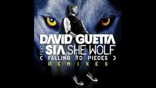 David Guetta ft. Sia - She Wolf [Falling To Pieces] (Sandro Silva Remix)