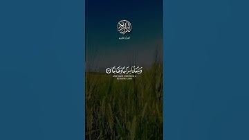 ألم نجعل الأرض مهادا و الجبال أوتادا | سورة النبأ | القارئ : أحمد خضر