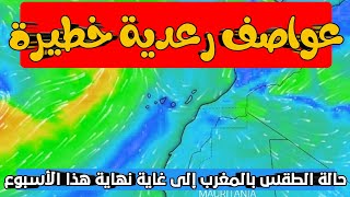 عاجل: نشرة إنذارية حالة الطقس meteo